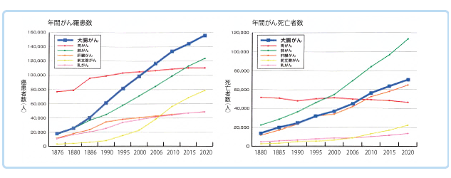 大腸がんによる死亡率の推移