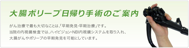 大腸内視鏡・日帰り手術のご案内