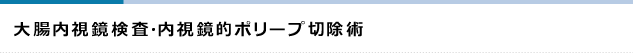 大腸内視鏡検査・内視鏡的ポリープ切除術
