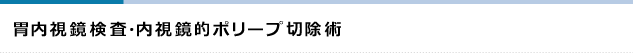 胃内視鏡検査・内視鏡的ポリープ切除術
