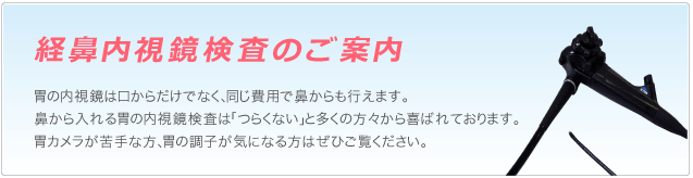 経鼻内視鏡検査のご案内